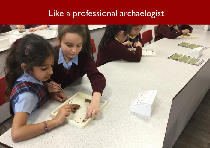 11 Like a professional archaelogist