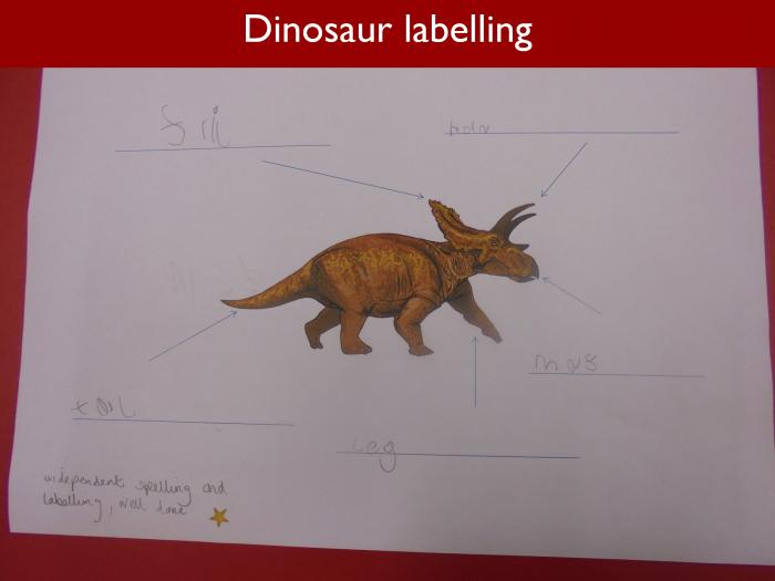 Blog RAH Dinosaurs 22 Dinosaur labelling