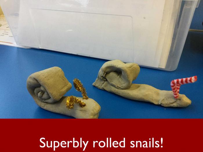 14 Superbly rolled snails