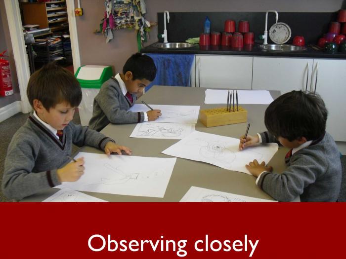 2 Observing closely