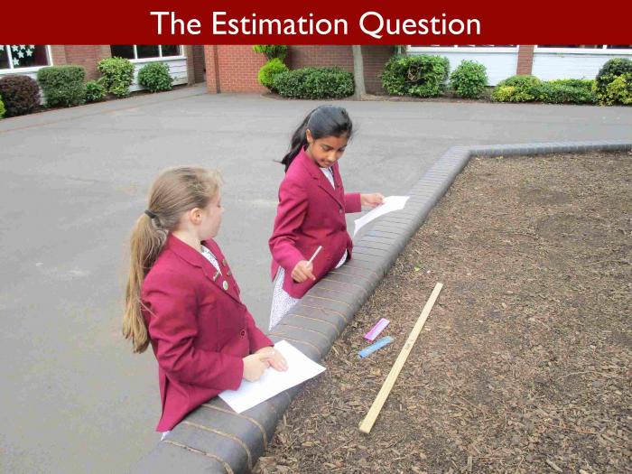 The Estimation Question