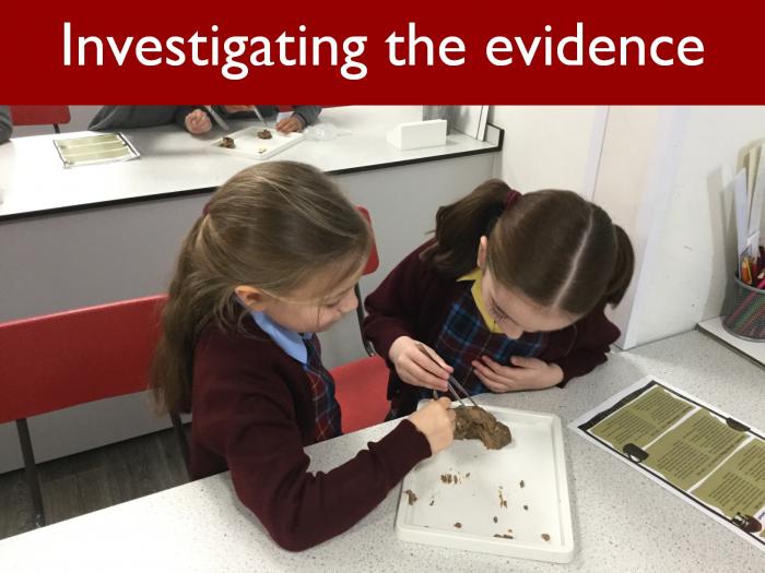 10 Investigating the evidence