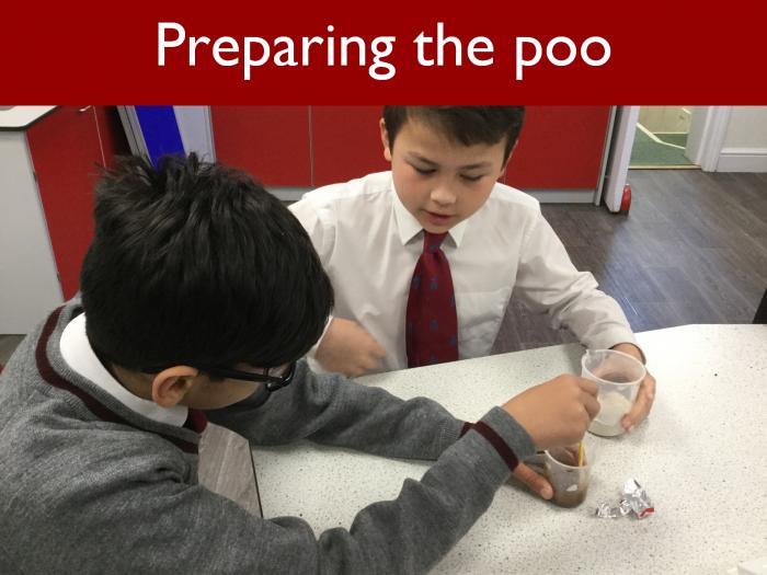 2 Preparing the poo