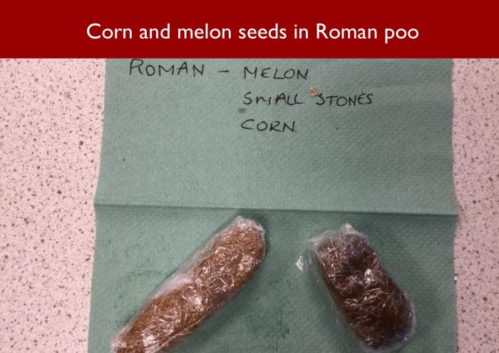 9 Corn and melon seeds in Roman poo