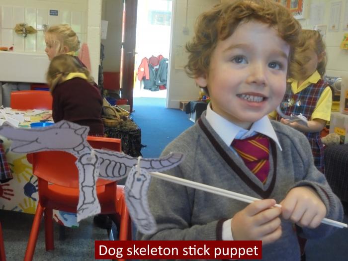 08 Dog skeleton stick puppet resized