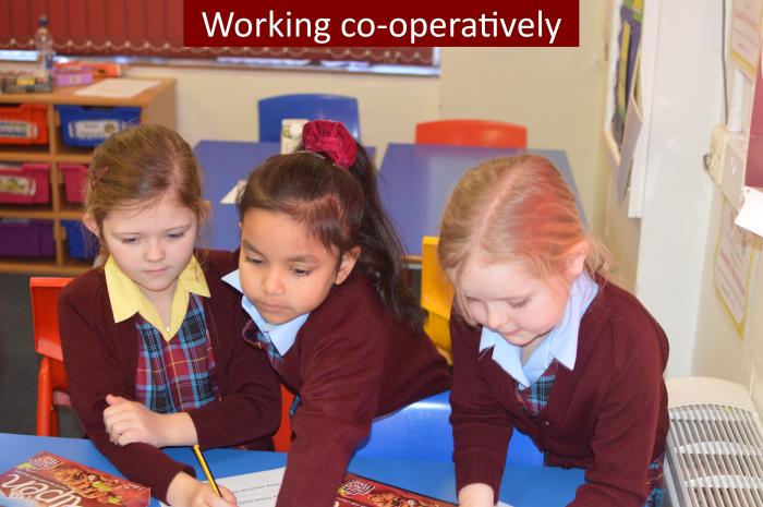 2 Working co operatively
