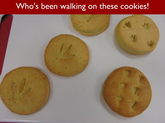 Blog RAH Dinosaurs 28 Whos been walking on these cookies