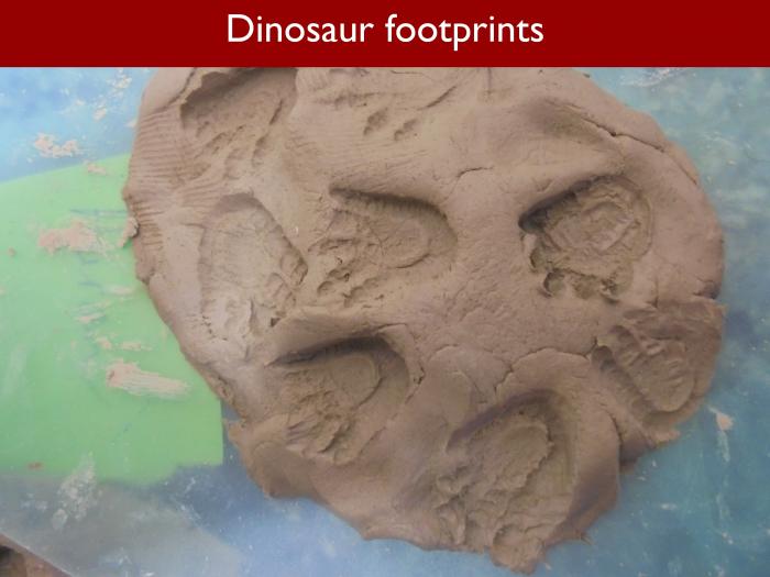Blog RAH Dinosaurs 41 Dinosaur footprints